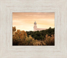 Load image into Gallery viewer, Cedar City Golden
