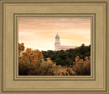 Load image into Gallery viewer, Cedar City Golden
