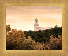 Load image into Gallery viewer, Cedar City Golden
