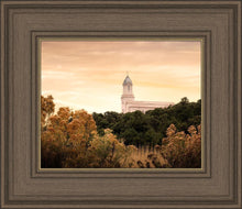 Load image into Gallery viewer, Cedar City Golden
