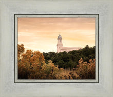 Load image into Gallery viewer, Cedar City Golden
