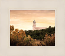 Load image into Gallery viewer, Cedar City Golden
