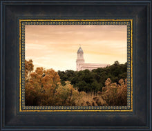 Load image into Gallery viewer, Cedar City Golden
