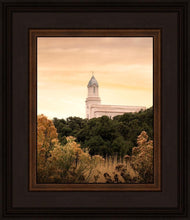 Load image into Gallery viewer, Cedar City Golden
