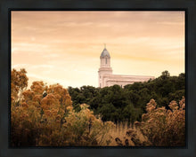 Load image into Gallery viewer, Cedar City Golden
