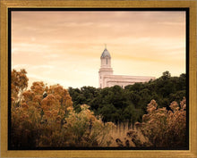 Load image into Gallery viewer, Cedar City Golden
