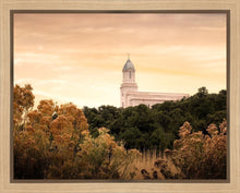 Load image into Gallery viewer, Cedar City Golden
