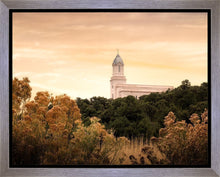 Load image into Gallery viewer, Cedar City Golden
