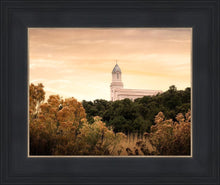 Load image into Gallery viewer, Cedar City Golden
