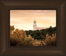 Load image into Gallery viewer, Cedar City Golden
