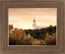 Load image into Gallery viewer, Cedar City Golden
