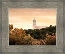 Load image into Gallery viewer, Cedar City Golden
