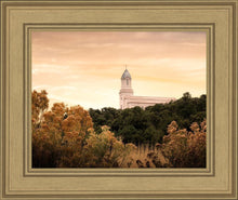 Load image into Gallery viewer, Cedar City Golden
