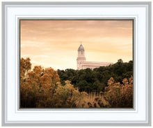 Load image into Gallery viewer, Cedar City Golden
