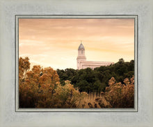 Load image into Gallery viewer, Cedar City Golden
