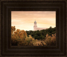 Load image into Gallery viewer, Cedar City Golden
