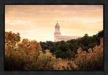 Load image into Gallery viewer, Cedar City Golden
