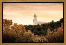 Load image into Gallery viewer, Cedar City Golden
