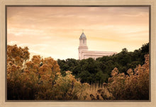 Load image into Gallery viewer, Cedar City Golden
