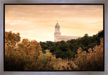 Load image into Gallery viewer, Cedar City Golden
