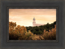 Load image into Gallery viewer, Cedar City Golden
