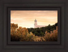 Load image into Gallery viewer, Cedar City Golden
