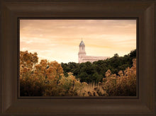 Load image into Gallery viewer, Cedar City Golden
