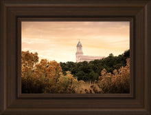 Load image into Gallery viewer, Cedar City Golden
