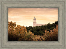 Load image into Gallery viewer, Cedar City Golden
