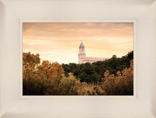 Load image into Gallery viewer, Cedar City Golden
