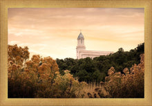 Load image into Gallery viewer, Cedar City Golden
