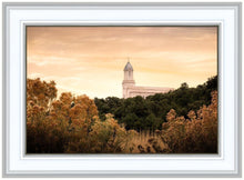 Load image into Gallery viewer, Cedar City Golden
