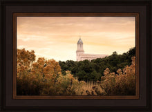 Load image into Gallery viewer, Cedar City Golden

