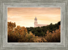 Load image into Gallery viewer, Cedar City Golden
