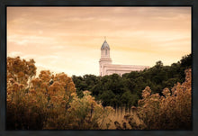 Load image into Gallery viewer, Cedar City Golden
