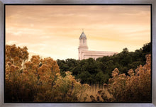 Load image into Gallery viewer, Cedar City Golden
