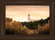 Load image into Gallery viewer, Cedar City Golden
