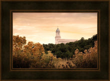 Load image into Gallery viewer, Cedar City Golden
