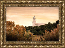 Load image into Gallery viewer, Cedar City Golden
