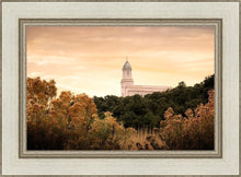 Load image into Gallery viewer, Cedar City Golden
