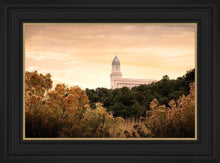 Load image into Gallery viewer, Cedar City Golden
