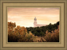 Load image into Gallery viewer, Cedar City Golden

