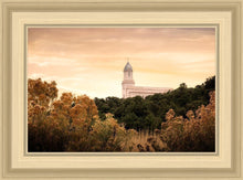 Load image into Gallery viewer, Cedar City Golden
