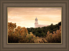 Load image into Gallery viewer, Cedar City Golden
