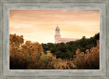 Load image into Gallery viewer, Cedar City Golden
