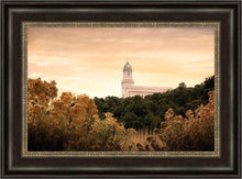 Load image into Gallery viewer, Cedar City Golden

