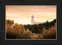 Load image into Gallery viewer, Cedar City Golden
