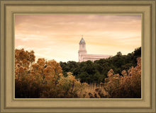 Load image into Gallery viewer, Cedar City Golden
