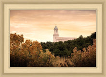Load image into Gallery viewer, Cedar City Golden
