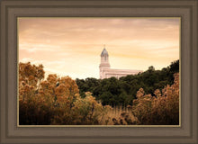 Load image into Gallery viewer, Cedar City Golden

